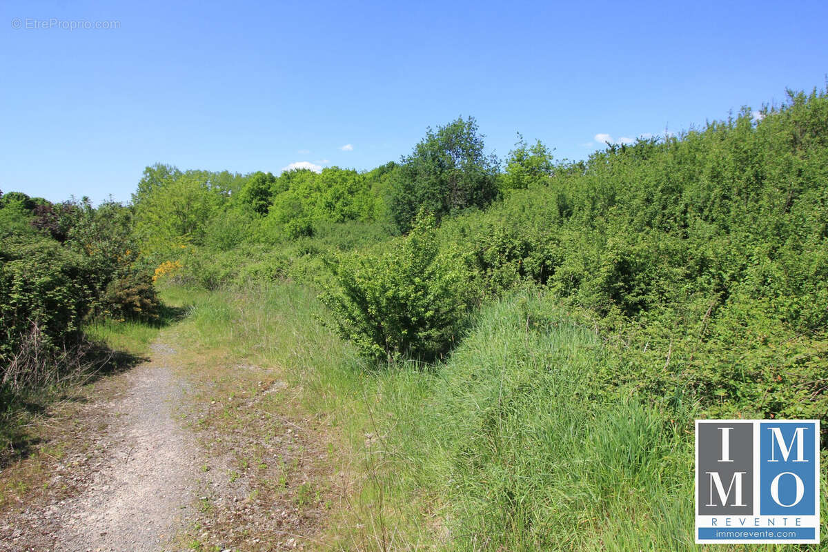 Terrain à VIERZON