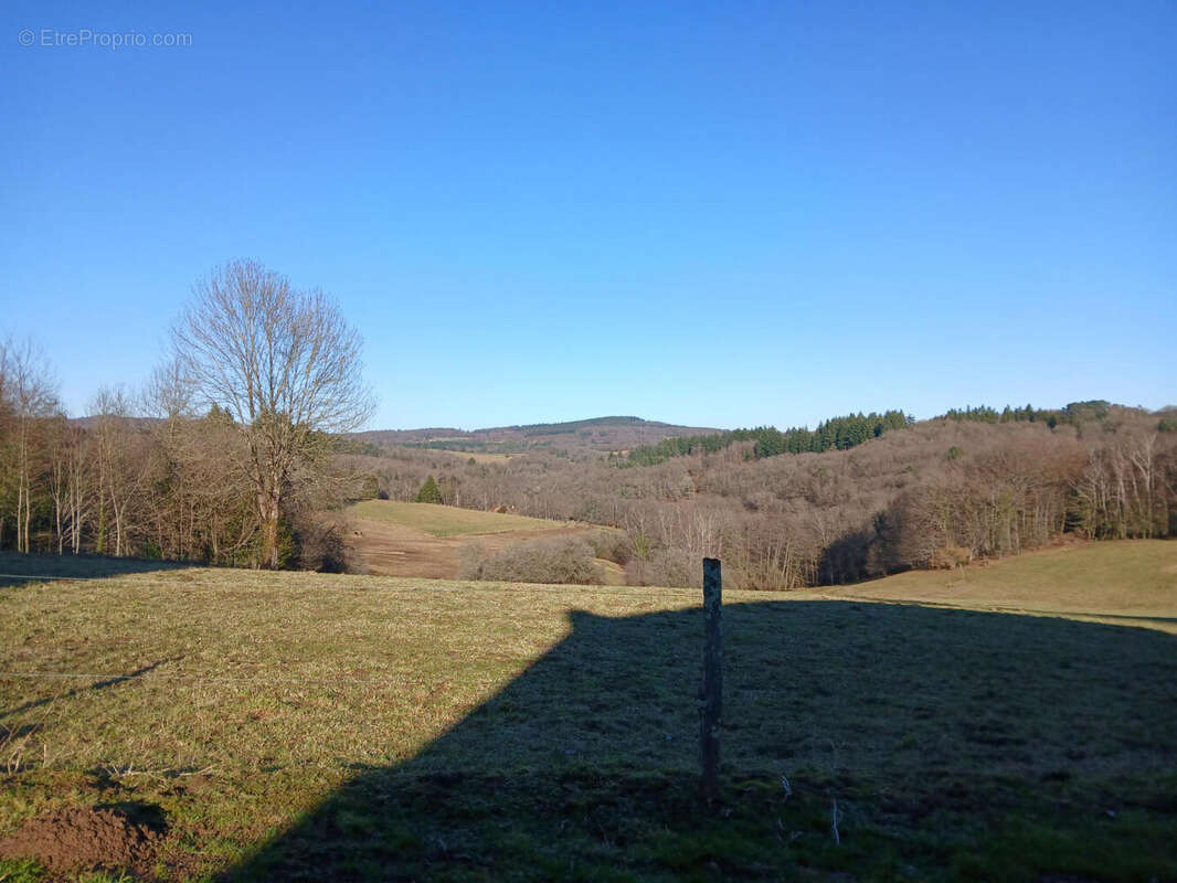 la vue - Maison à SAINT-PRIEST-LES-FOUGERES
