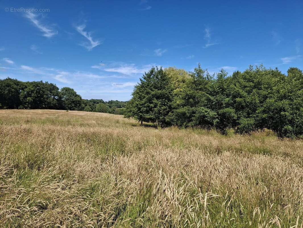 2 maisons de campagne, de nombreuses dépendances et 28 hectares dans un cadre magnifique - photo 18