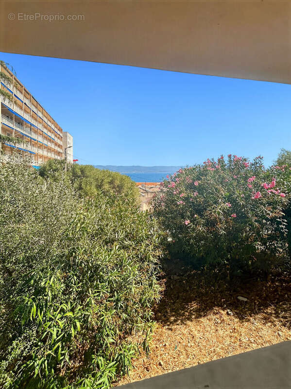 Appartement 41m² à ajaccio - photo 2