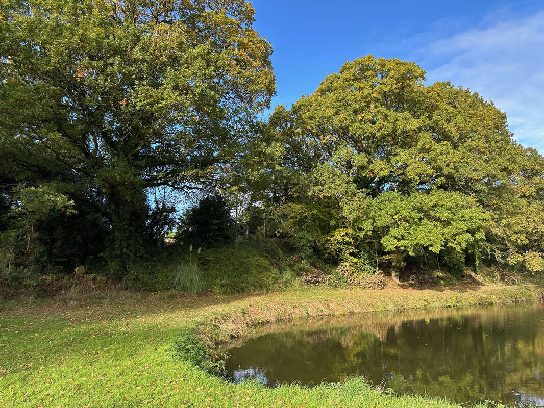 Parking à SAINT-LORMEL