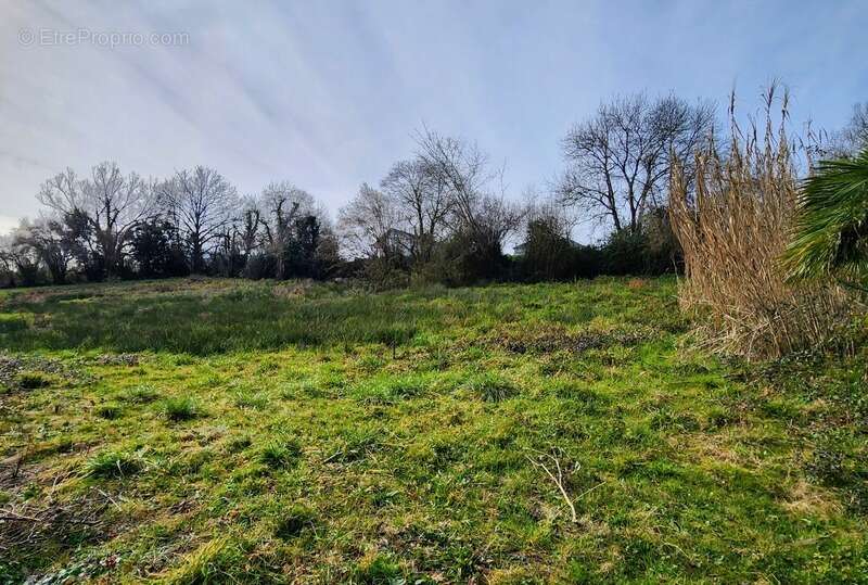 Terrain à THEZE