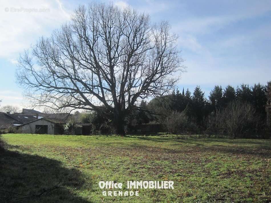 Terrain à LE BURGAUD