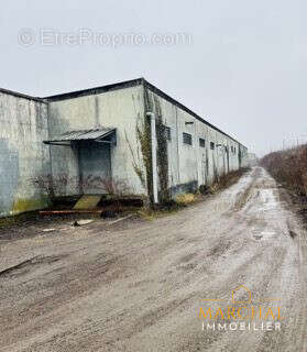 Commerce à ARS-SUR-MOSELLE