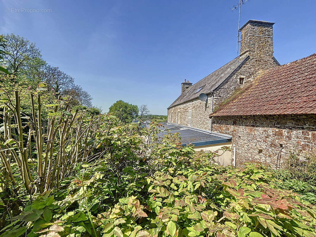 Maison à CANVILLE-LA-ROCQUE