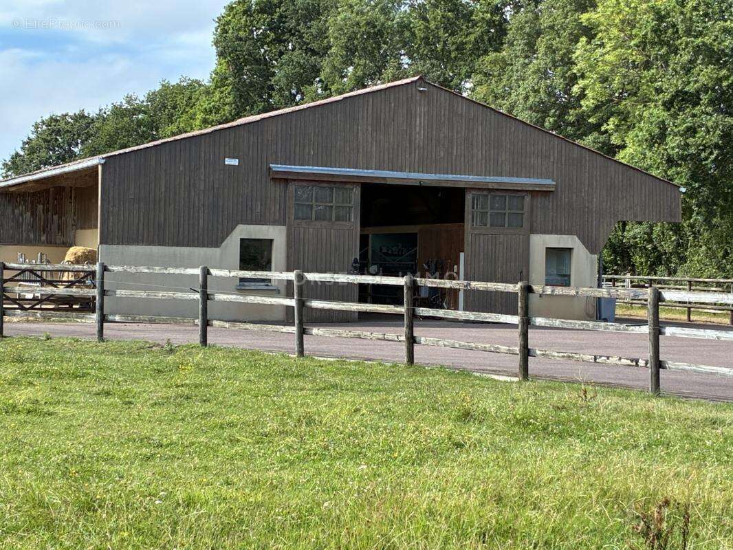 Tourgéville - Domaine d'exception de 5,6 hectares avec pisc - photo 8