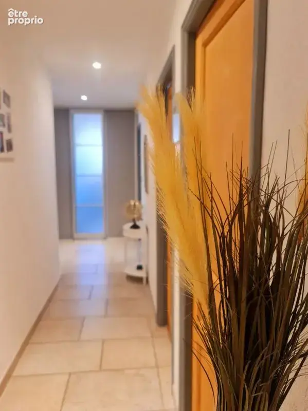 Alès - Maison  5 chambres avec Piscine sur 850 m2 de terrain - photo 9