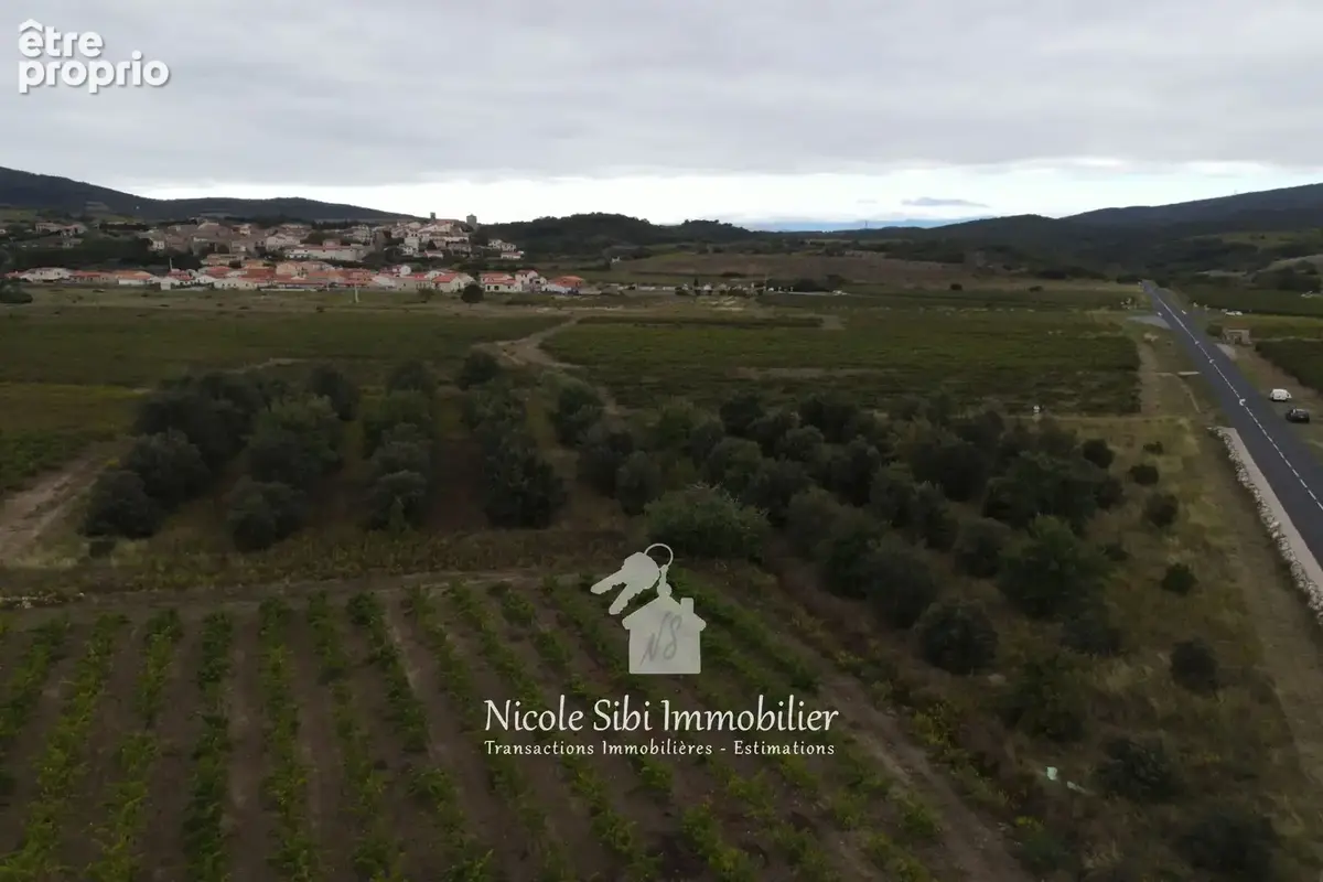Terrain 7 102 m² à vendre à Montner (66720) - photo 3