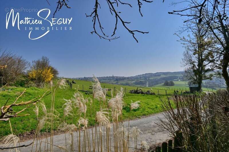 Maison à SAINT-MARTIN-EN-HAUT