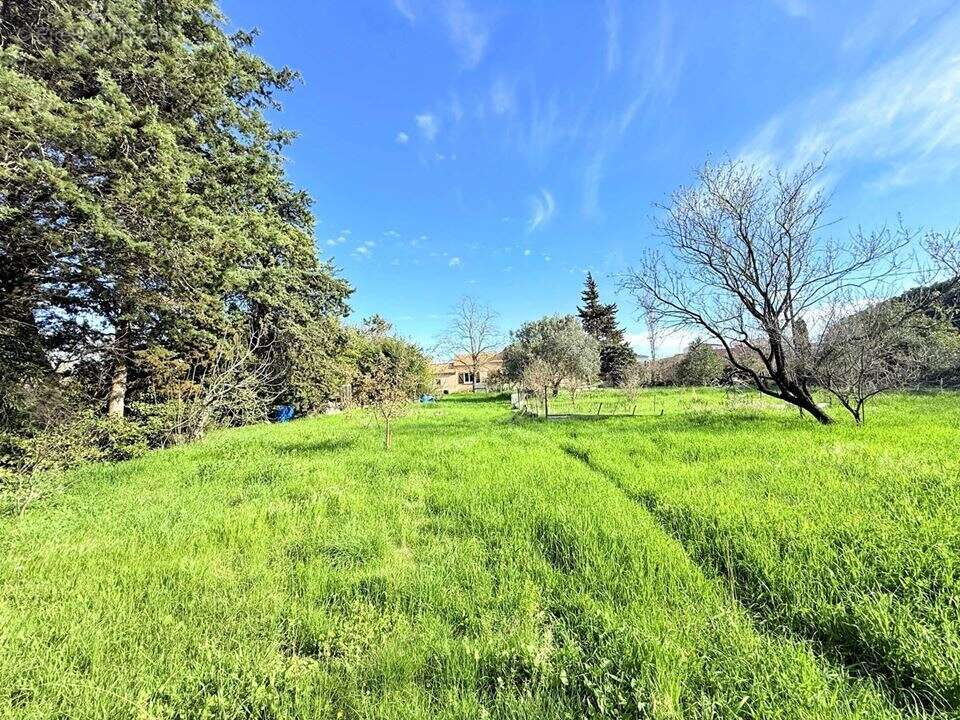 Maison à VILLENEUVE-LES-MAGUELONE