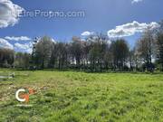 Terrain à SAINT-JEAN-DU-CARDONNAY