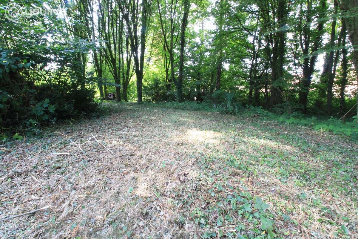 Propriété d'architecte de 316 m² sur un terrain de 14000 m² - photo 9