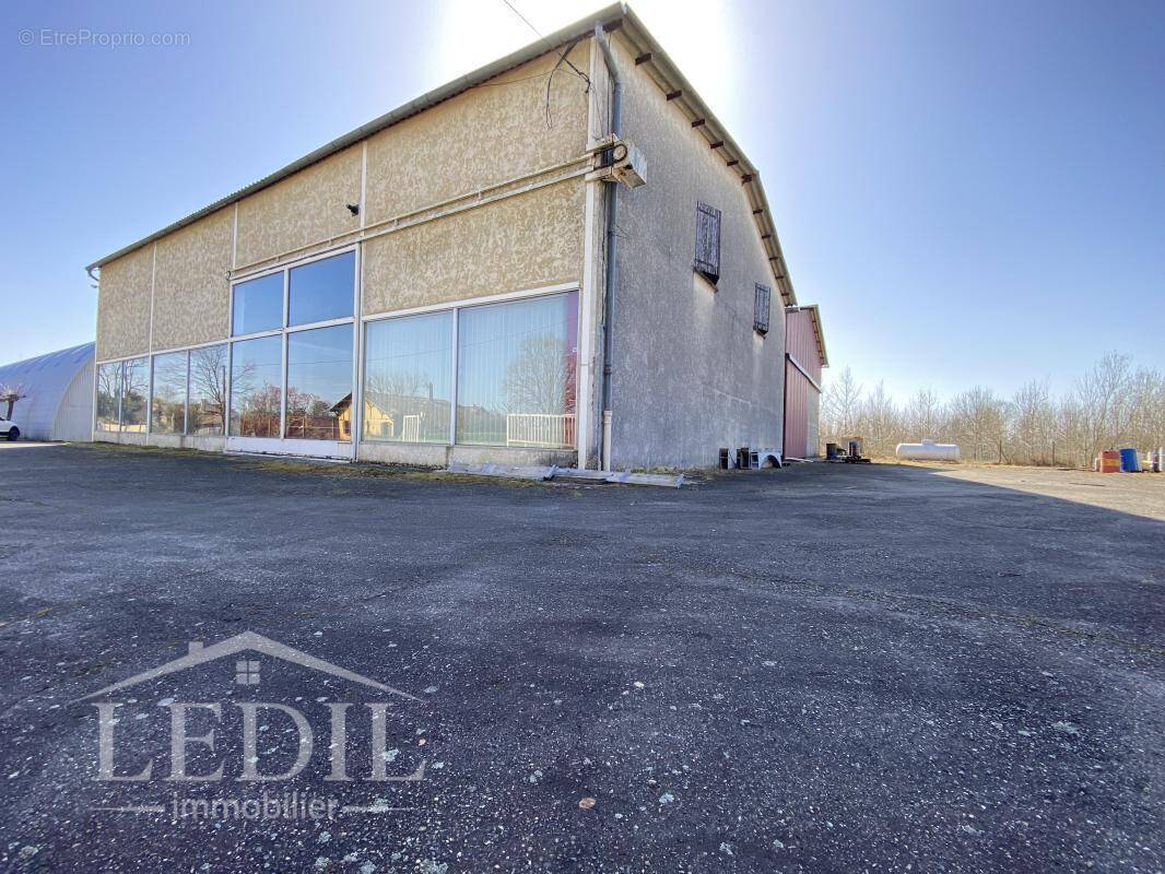 Commerce à CAZAUBON