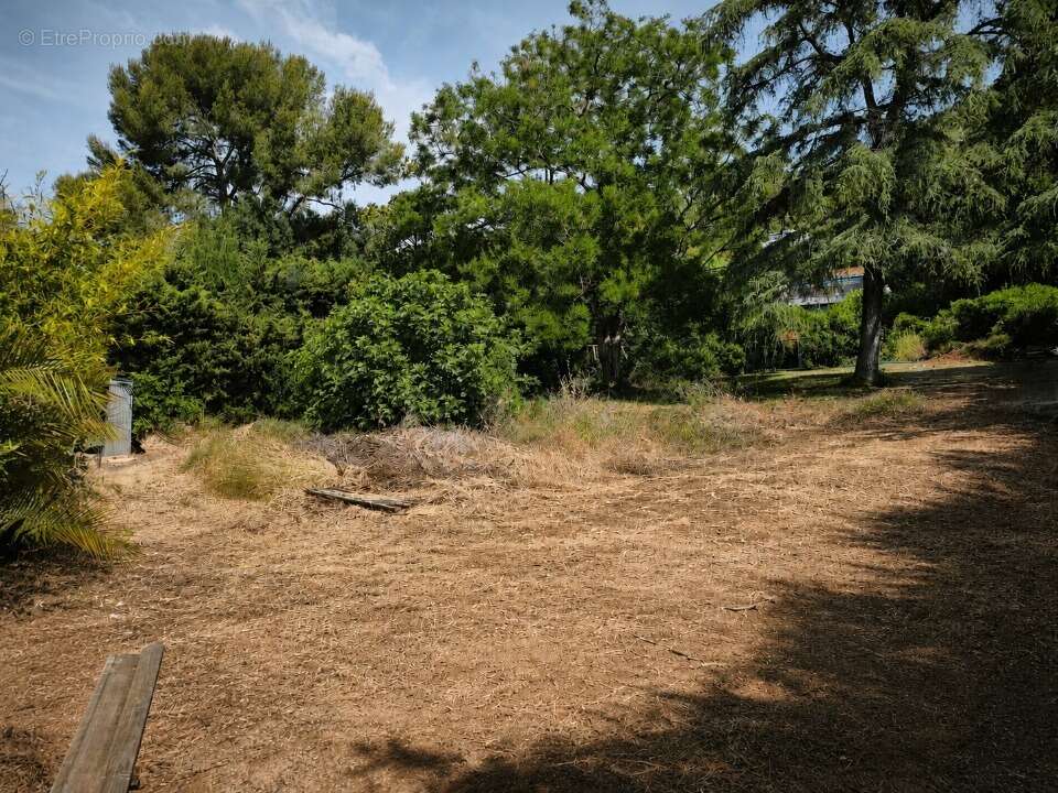 Terrain 653 m² à Toulon  - photo 3