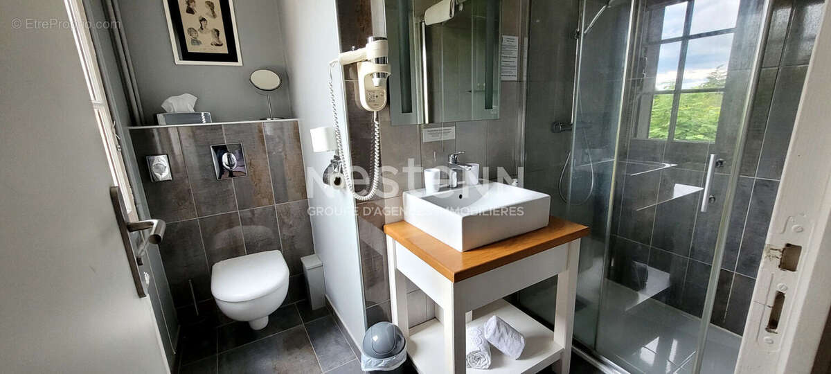 Hôtel-Restaurant 3 étoiles . Secteur Sologne / Châteaux de la Loire - photo 3