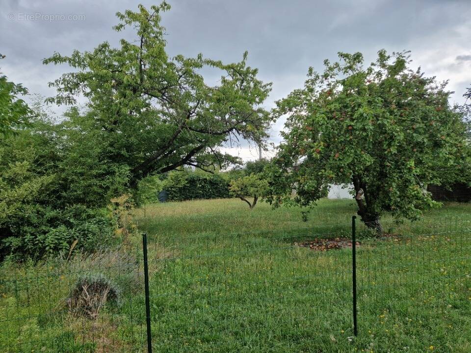 Terrain à NOISEAU