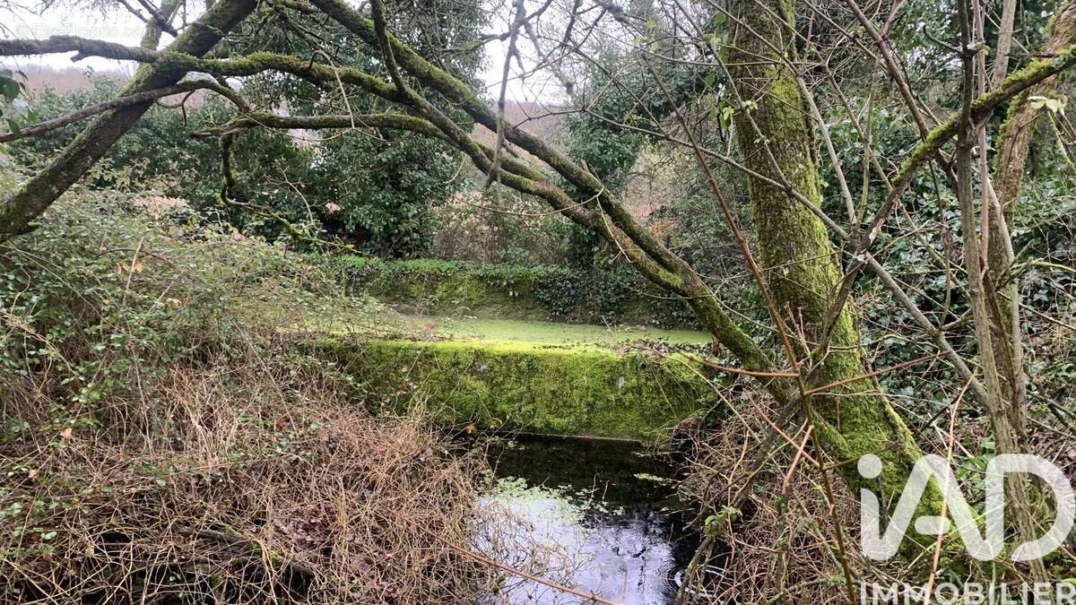 Photo 4 - Maison à SAINT-EPAIN