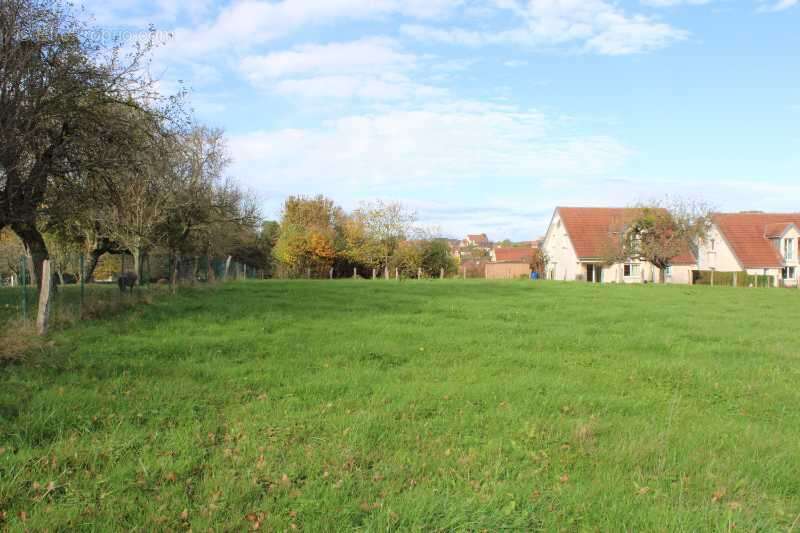 Terrain à GENEUILLE
