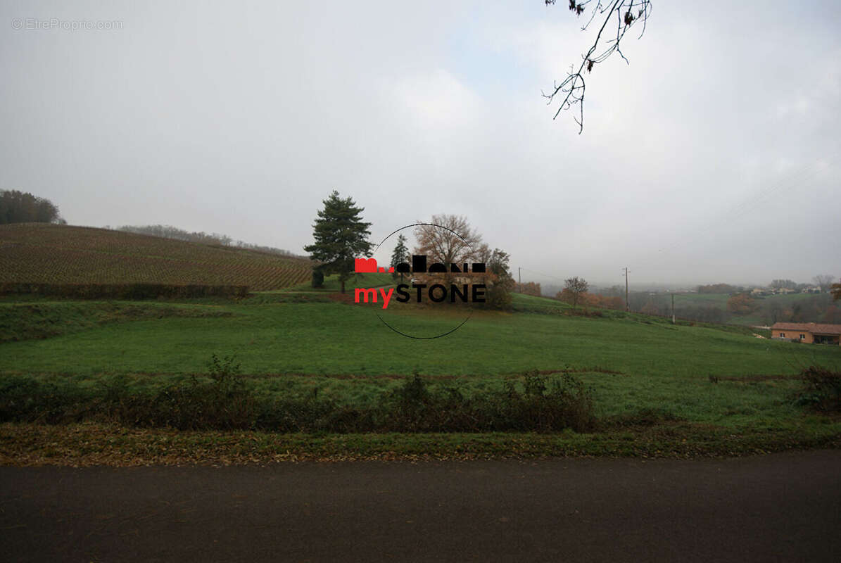 Terrain à SAINT-AMOUR-BELLEVUE