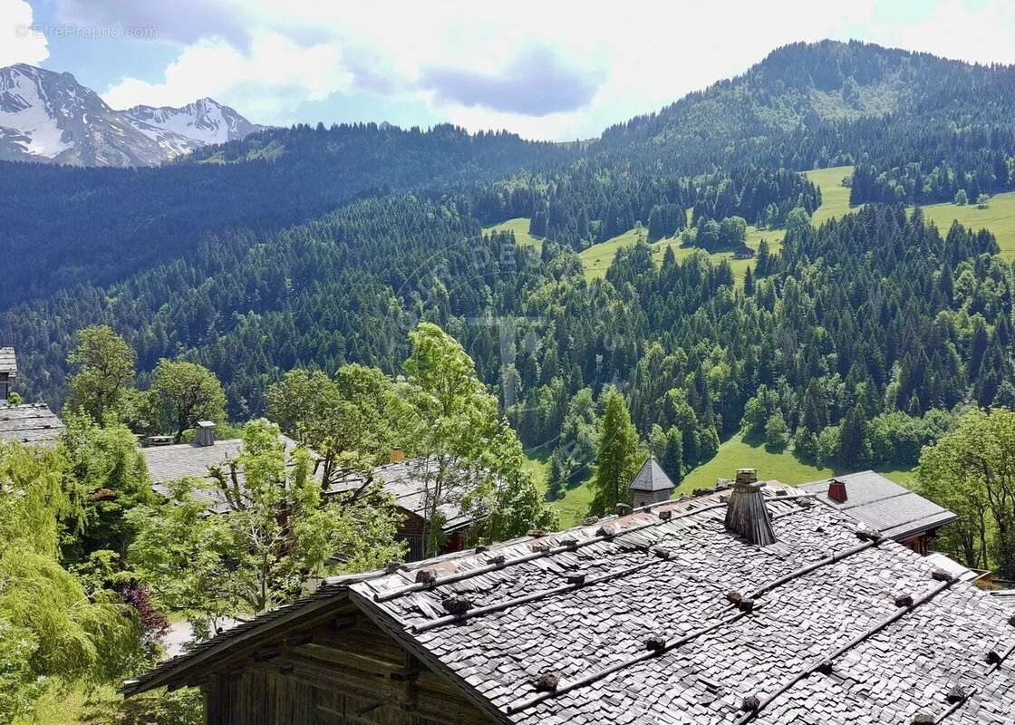 Maison à LE GRAND-BORNAND