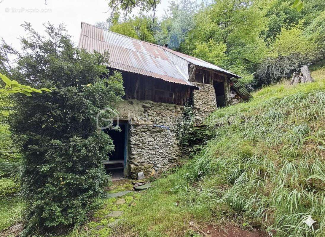 L'authenticité et le rêve: la grange de Jean-Pierre - Un hectare de nature en montagne - photo 5