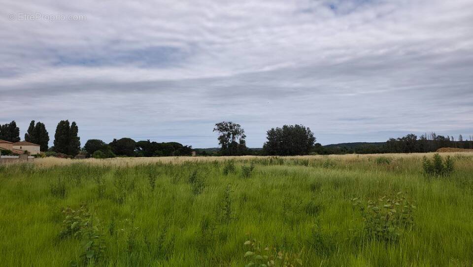 Terrain à COURSAN