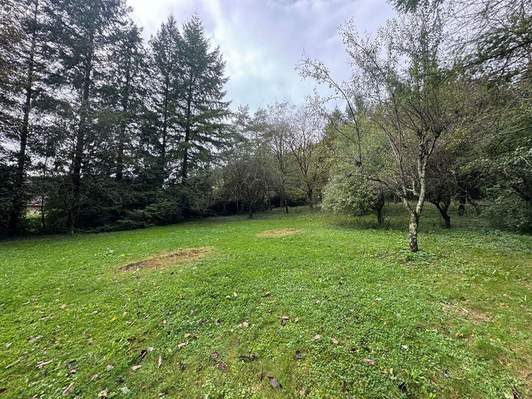 Superbe terrain constructible à NOVILLARS 1561m² ! - photo 5