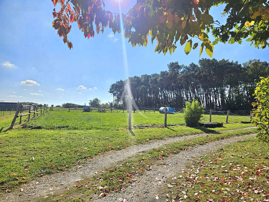 Maison à SAINT-GEORGES-SUR-CHER