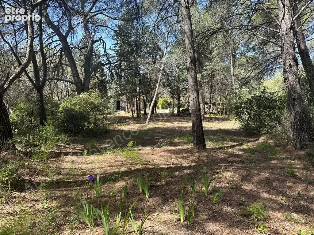 Maison à rénover sur grand terrain - photo 2