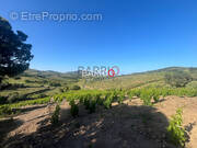 Appartement à PORT-VENDRES