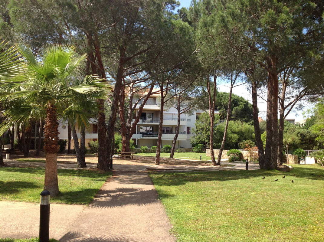 Appartement à CALVI