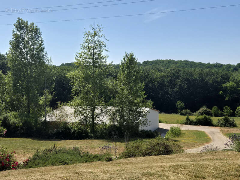 3,4 has, dépendance sécurisée de 320 m², maison plain-pied plus sous-sol, et vue dominante aux portes d'Agen - photo 26