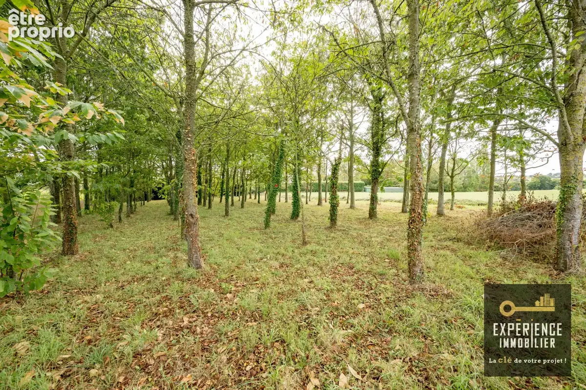 Maison en pierre avec ses dependances - photo 3