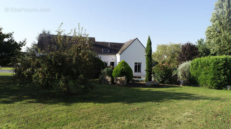 ARCY SAINTE RESTITUE (02) belle maison d'architecte de 291 m2 sur un terrain de 7000 m2 - photo 17