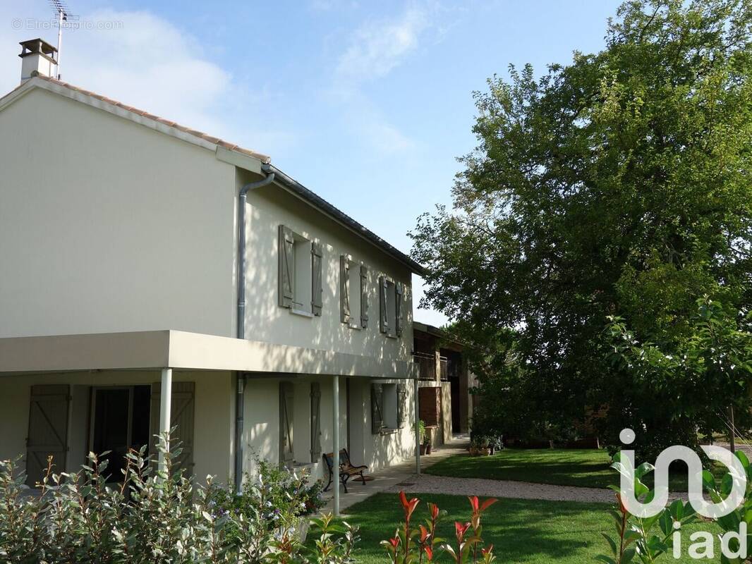 Photo 1 - Maison à MONTAUBAN