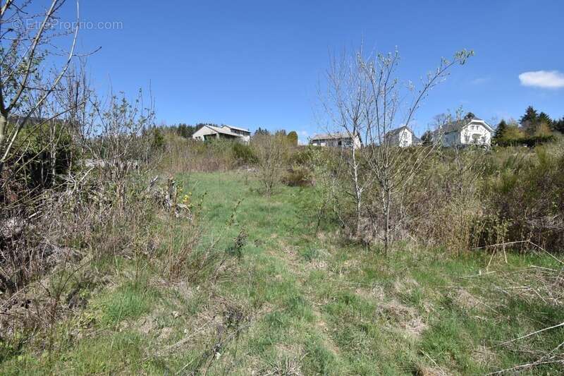 Terrain à SAINT-AGREVE