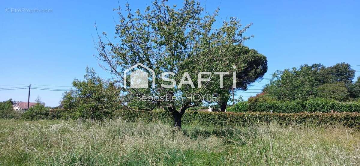 Photo 3 - Terrain à LAVERNOSE-LACASSE