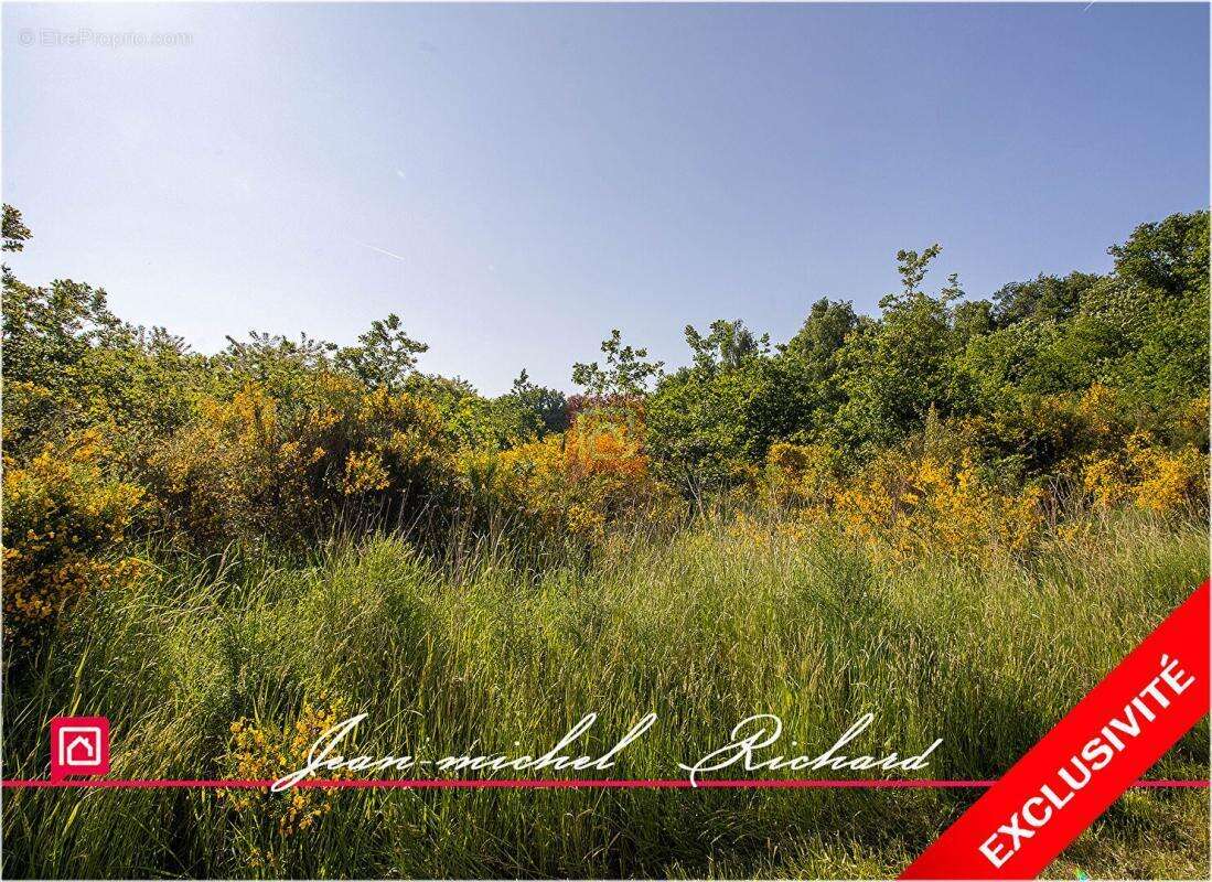 Terrain de loisirs Le Controis En Sologne 63 m2 - photo 4