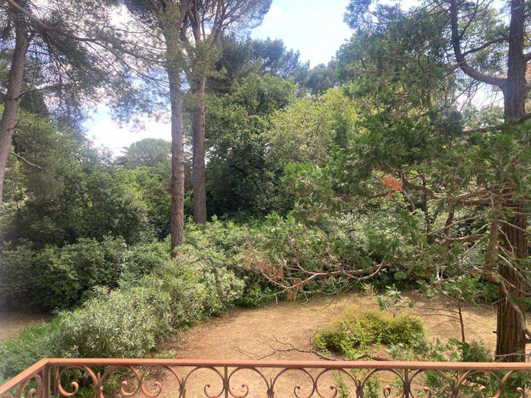 Maison à MONTPELLIER