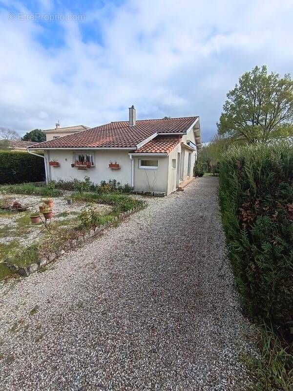Photo 1 - Maison à CASTELNAU-DE-MEDOC