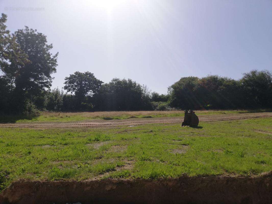 Terrain à CHERBOURG-OCTEVILLE