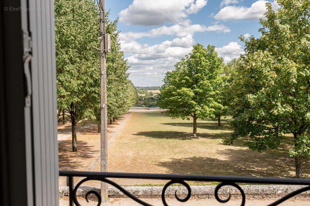 Lieux uniques ® x propriétés privées ® maison de maitre de 115 m², cour, garage 35 m² beaugency centre - photo 6