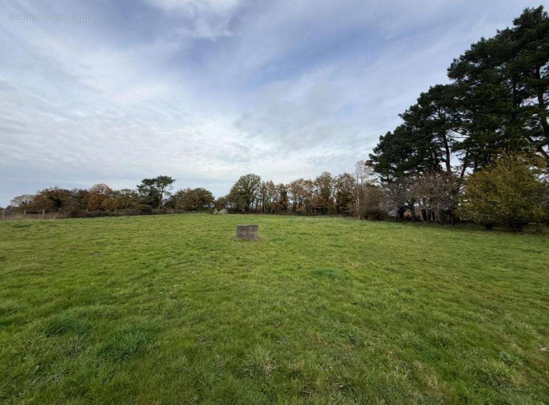 Maison à PLEUCADEUC