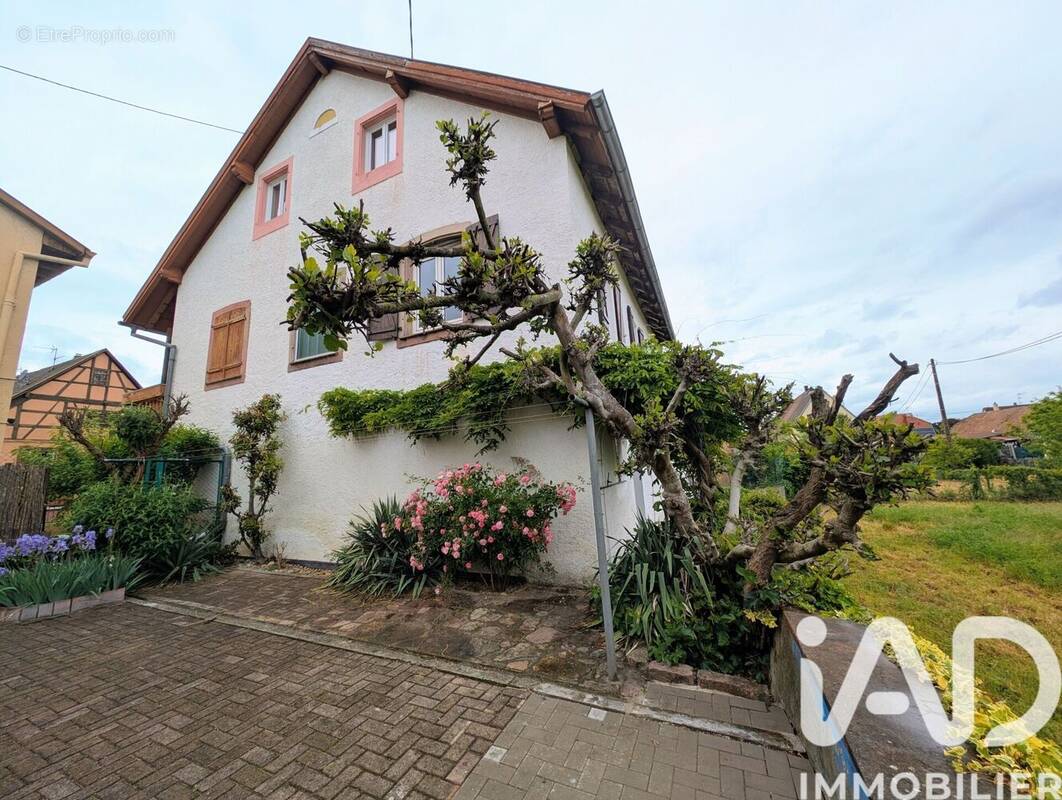 Photo 1 - Maison à HERRLISHEIM-PRES-COLMAR