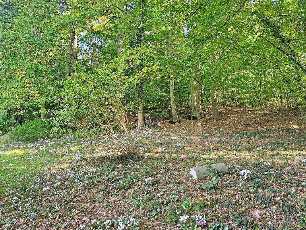 Maison à LA ROCHE-GUYON