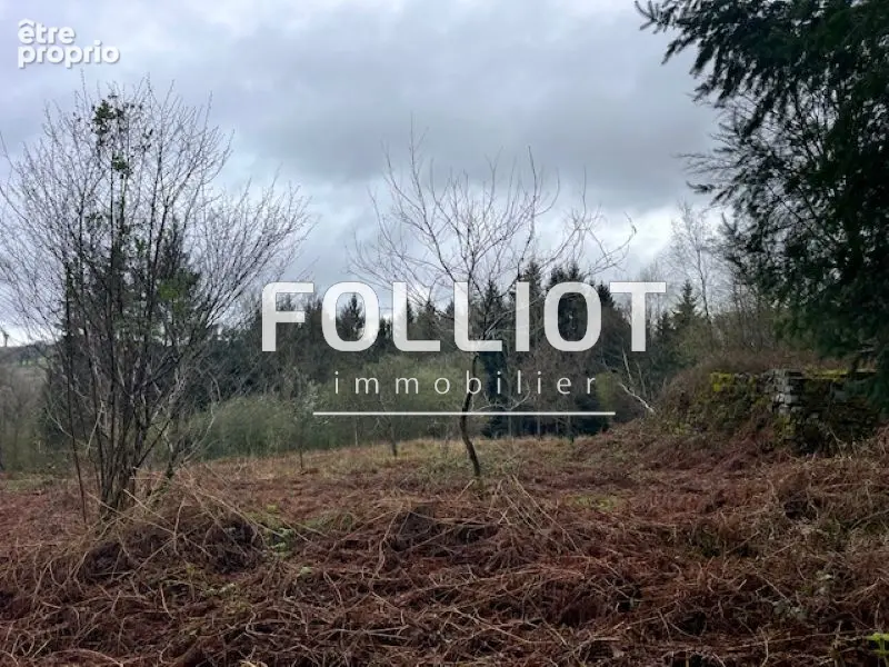Terrain Gathemo 14000 m2 - photo 5