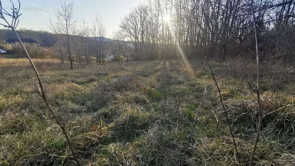 Terrain constructible - photo 7