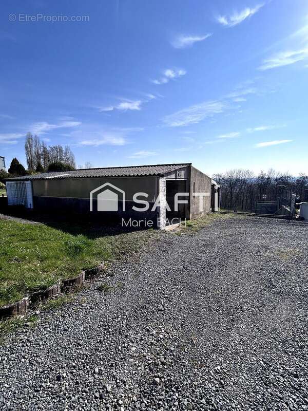 Photo 3 - Terrain à SARRALBE