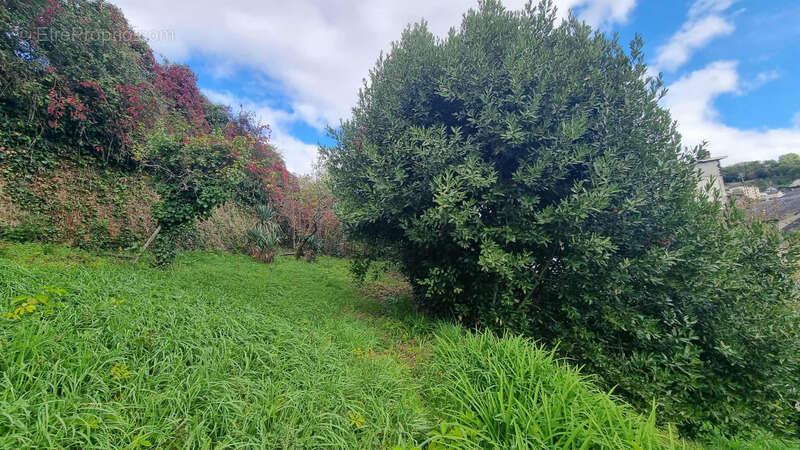 Appartement à TULLE