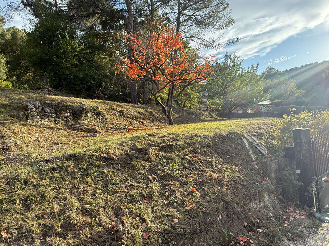 Terrain à LA ROQUE-D&#039;ANTHERON